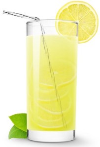 sorties rencontres ateliers parents enfants printemps albi tarn 81 juin IEF