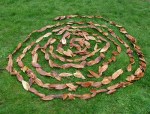 mandala feuilles landart albi tarn balade en forêt famille