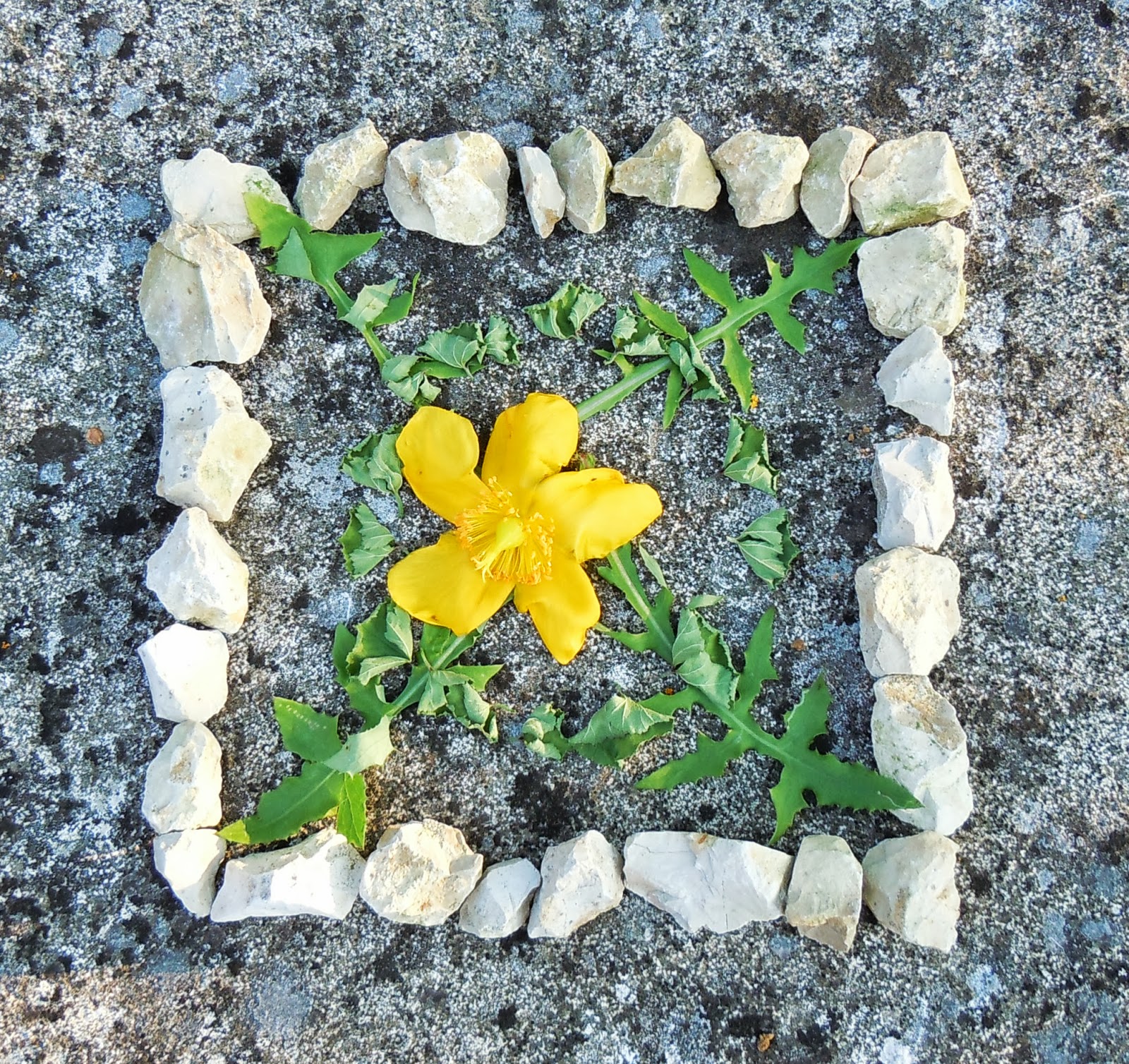 sortie non sco mandala rando balade libres enfants du tarn