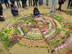 mandala fleuri landart albi tarn balade en forêt famille