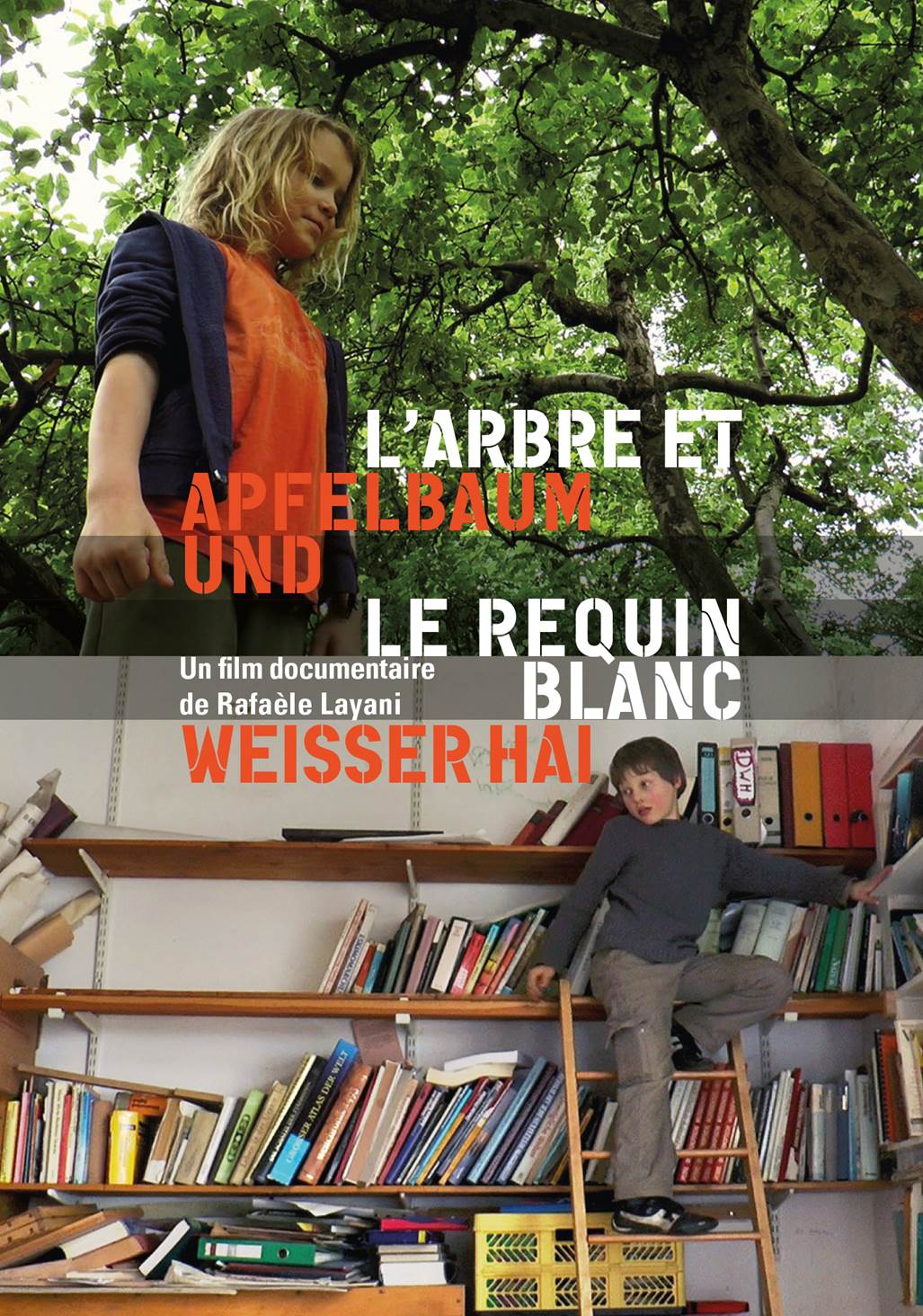 affiche l'arbre et le requin blanc ciné débat gaillac 81 libres enfants du tarn