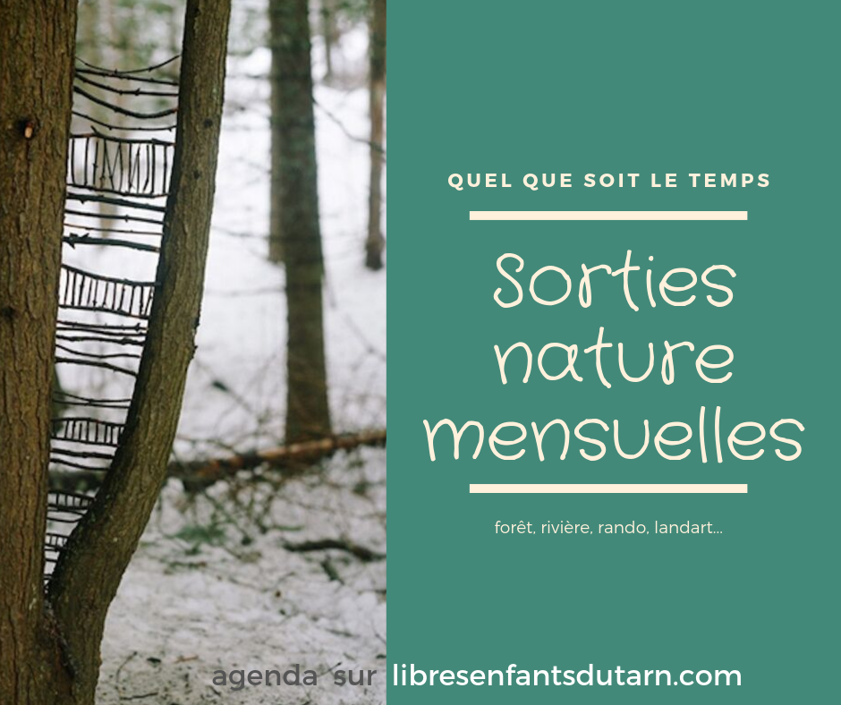 sorties nature libres enfants du tarn forest school 81