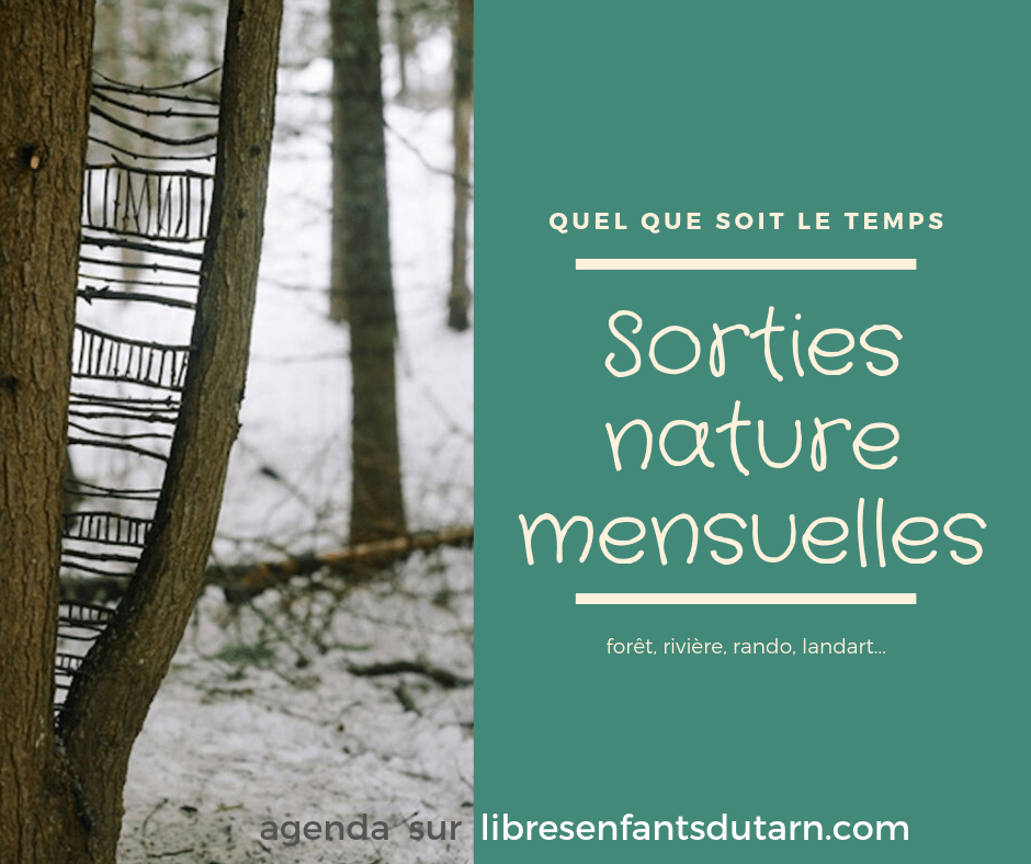 sorties nature libres enfants du tarn forest school 81