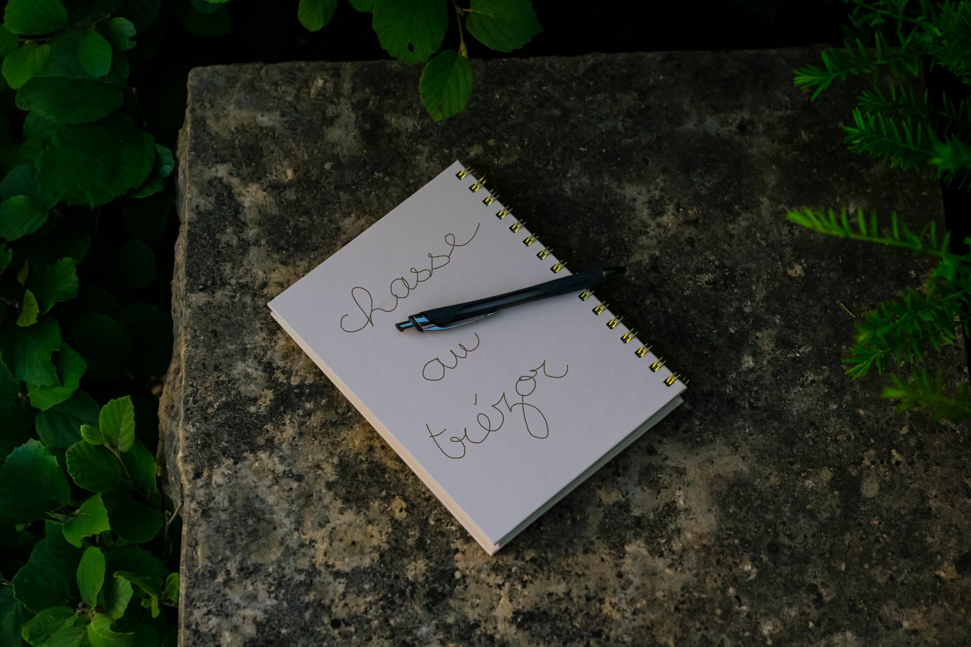chasse trésor libres enfants du tarn sivens 81