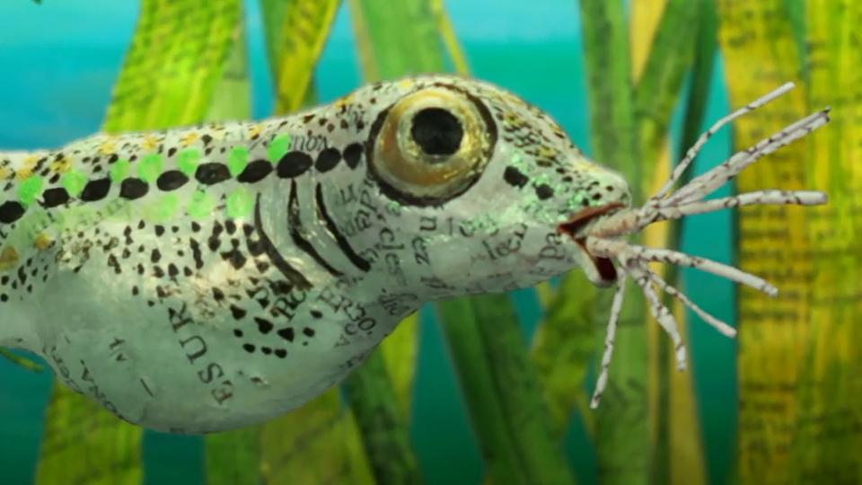 cinéma libres enfants du tarn albi athanor scène nationale parents