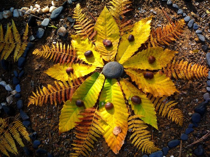 landart mandala automne mabon fête équinoxe forêt libres enfants du tarn réseau parents IEF nonsco 81