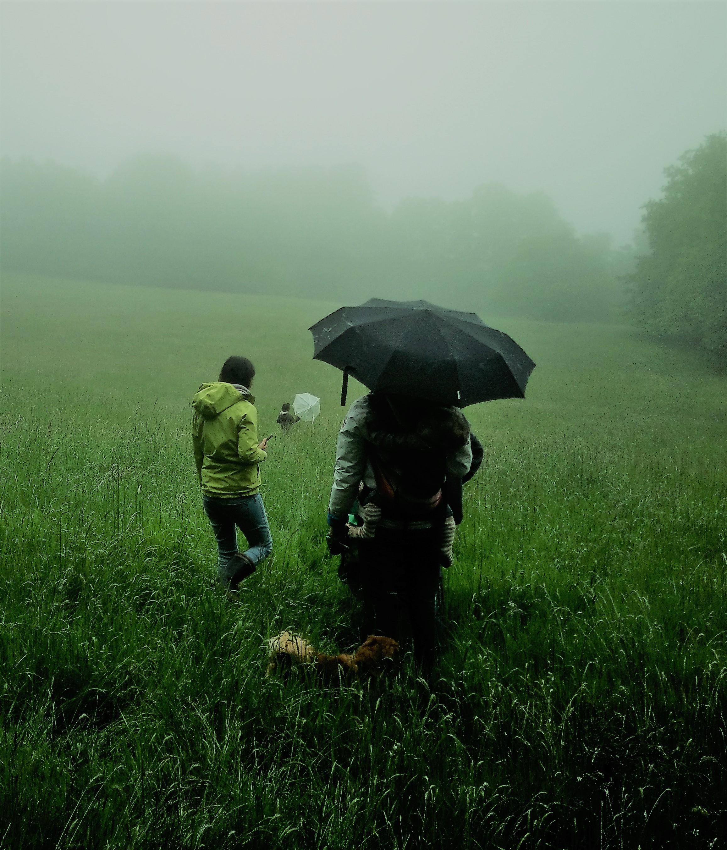 journées immersion forêt Penne Grésigne 81 Libres enfants du Tarn forest school nature bushcraft outils coopération jeu libre multiâge parents réseau cabanes