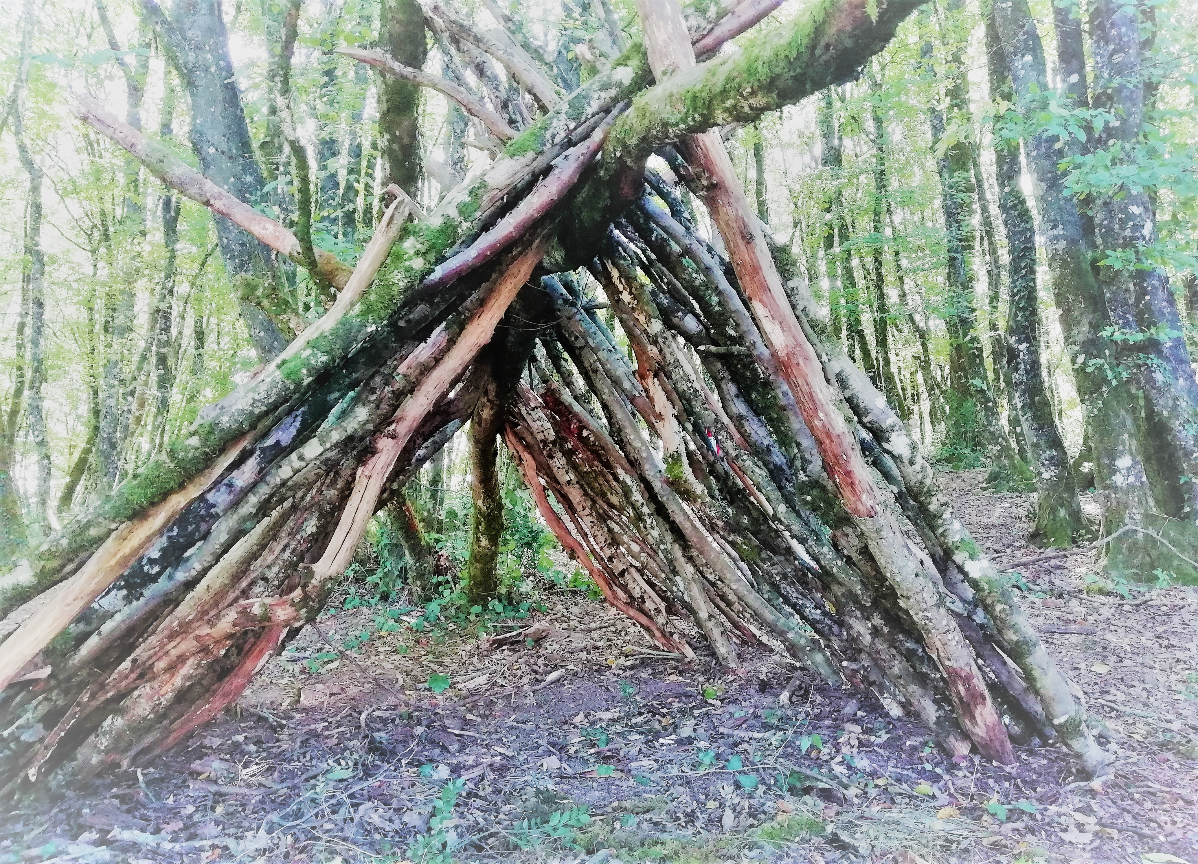journées immersion forêt Penne Grésigne 81 Libres enfants du Tarn forest school nature bushcraft outils coopération jeu libre multiâge parents réseau