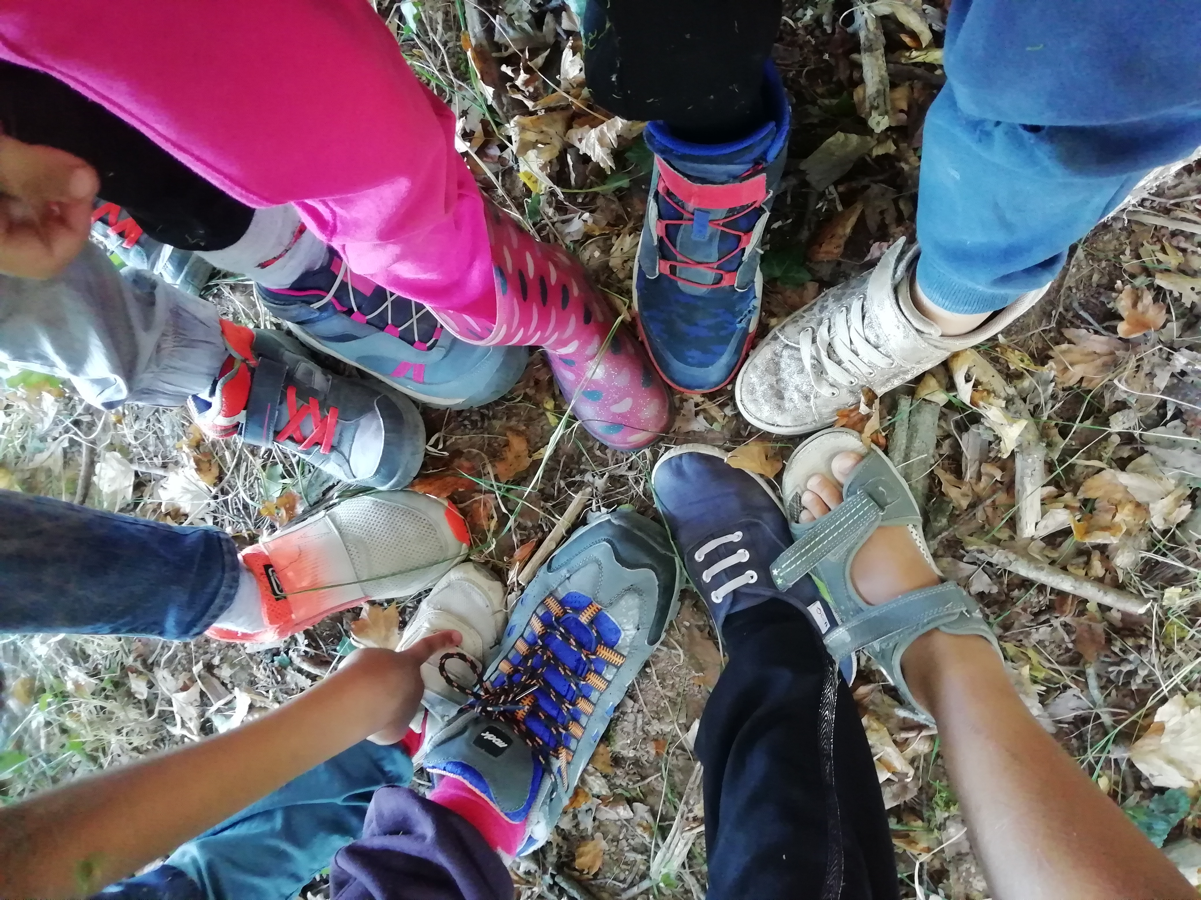 journées immersion forêt Penne Grésigne 81 Libres enfants du Tarn forest school nature bushcraft outils coopération jeu libre multiâge parents réseau cabanes