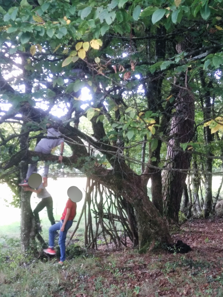 Cette image a un attribut alt vide ; le nom du fichier est img_20210912_145422_scrubbed.png