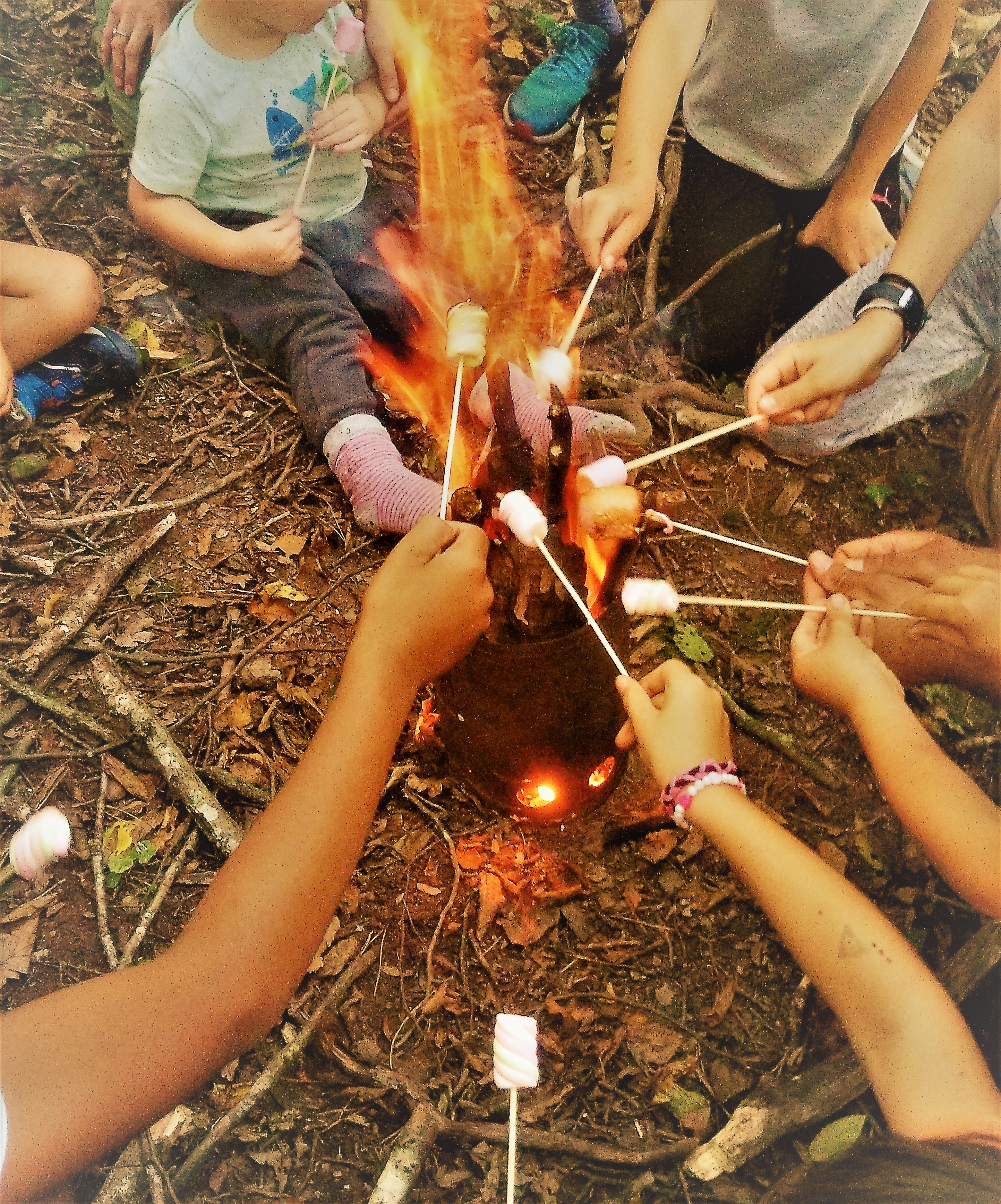 journées immersion forêt Penne Grésigne 81 Libres enfants du Tarn forest school nature bushcraft outils coopération jeu libre multiâge parents réseau cabanes