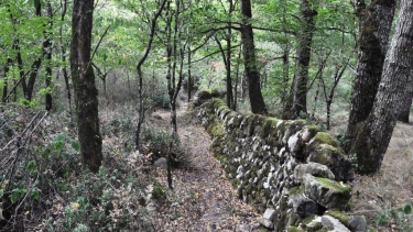 Association Libres enfants du Tarn réseau parents 81 parentalité forest school balade mur colbert forêt de la survie