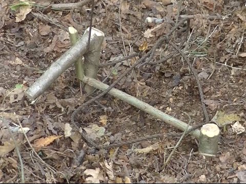 piège à collet forêt de la survie Association Libres enfants du Tarn réseau parents 81 parentalité forest school